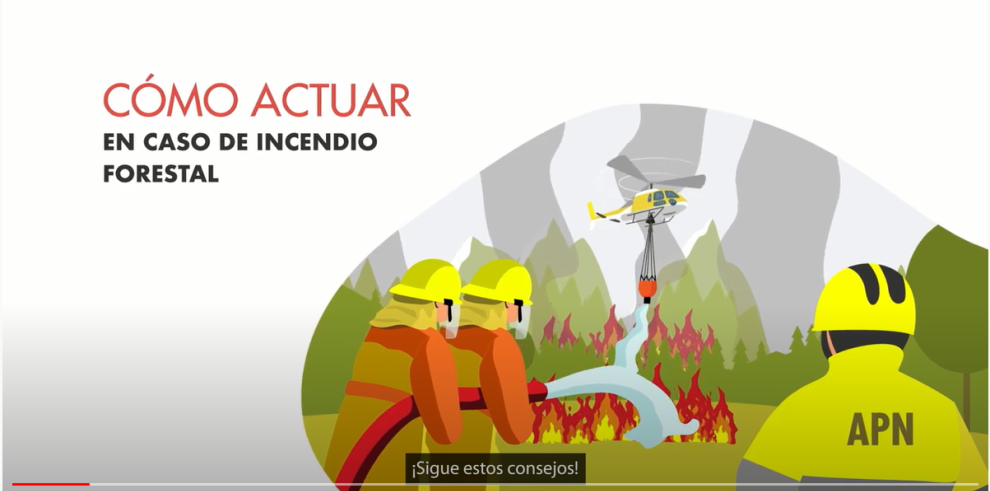 Descripción