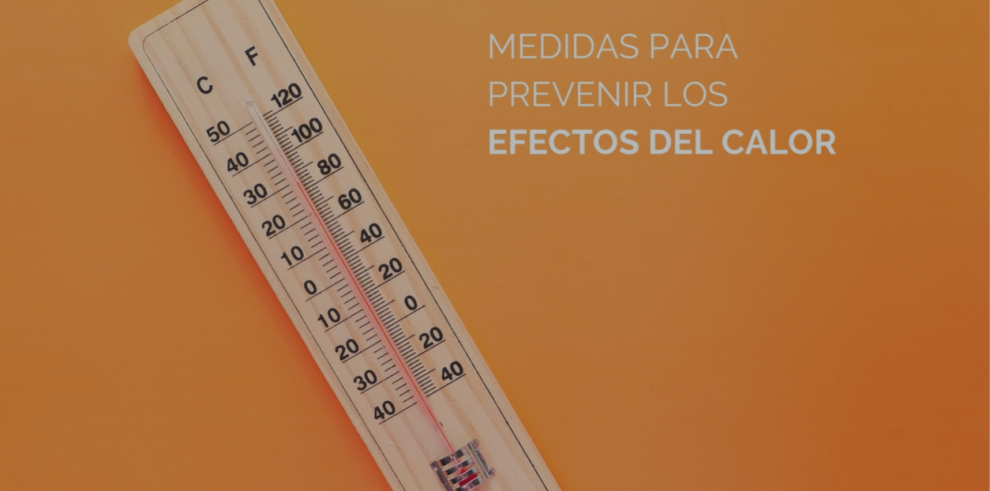 Descripción